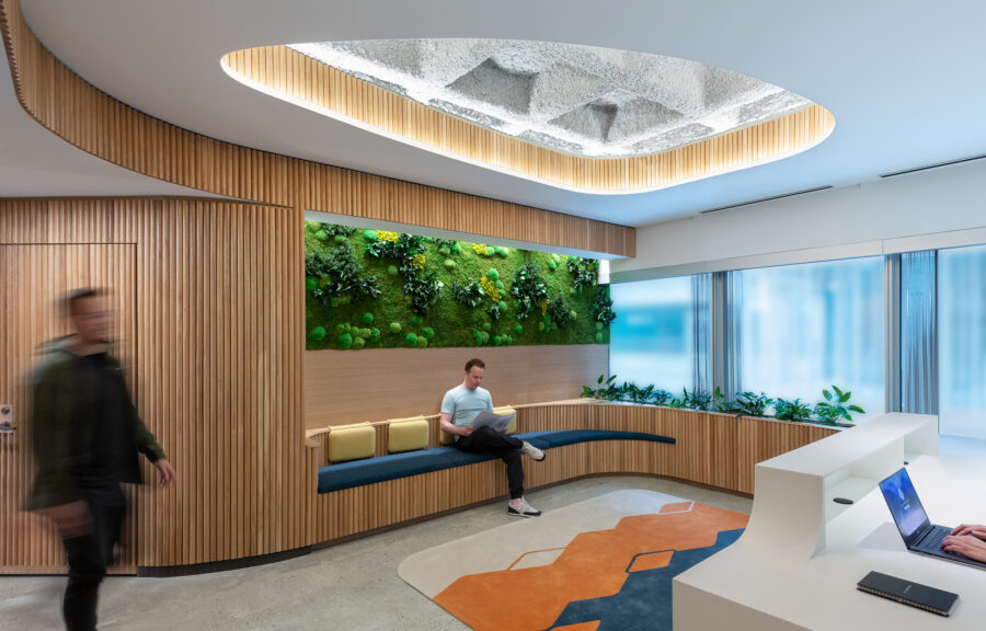 oculus tambour cove light