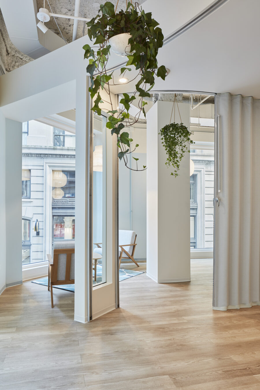 flexible mediation kwik-wall hanging plants