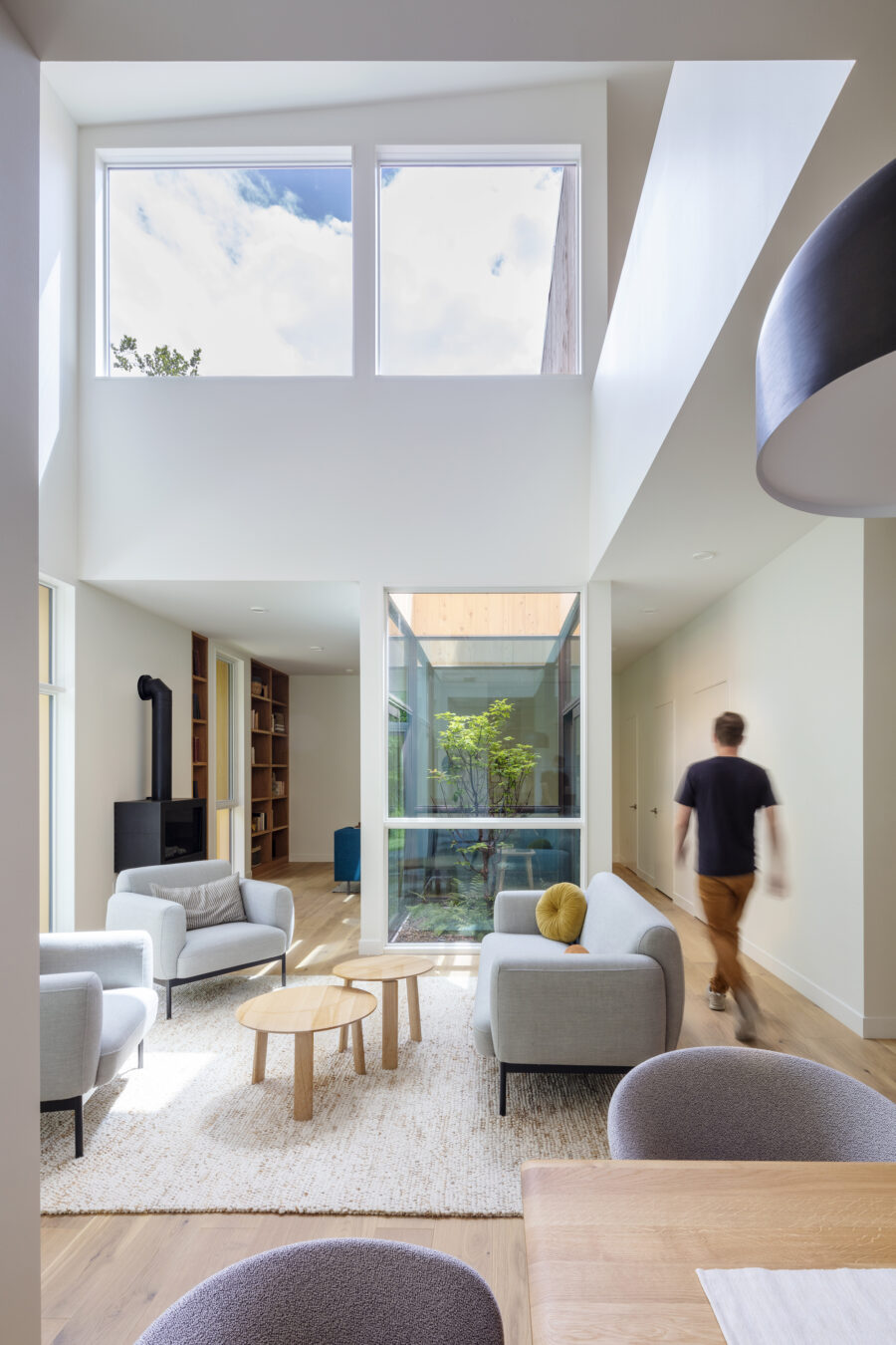 living room double height tree courtyard