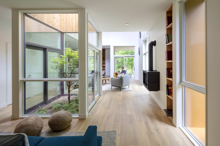 tree courtyard fireplace den