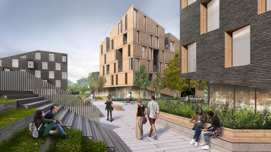 CLT brick and cedar pedestrian pathway