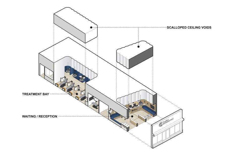 axon diagram scallops