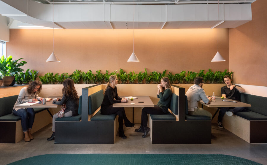 micro kitchen booths cork wall plants