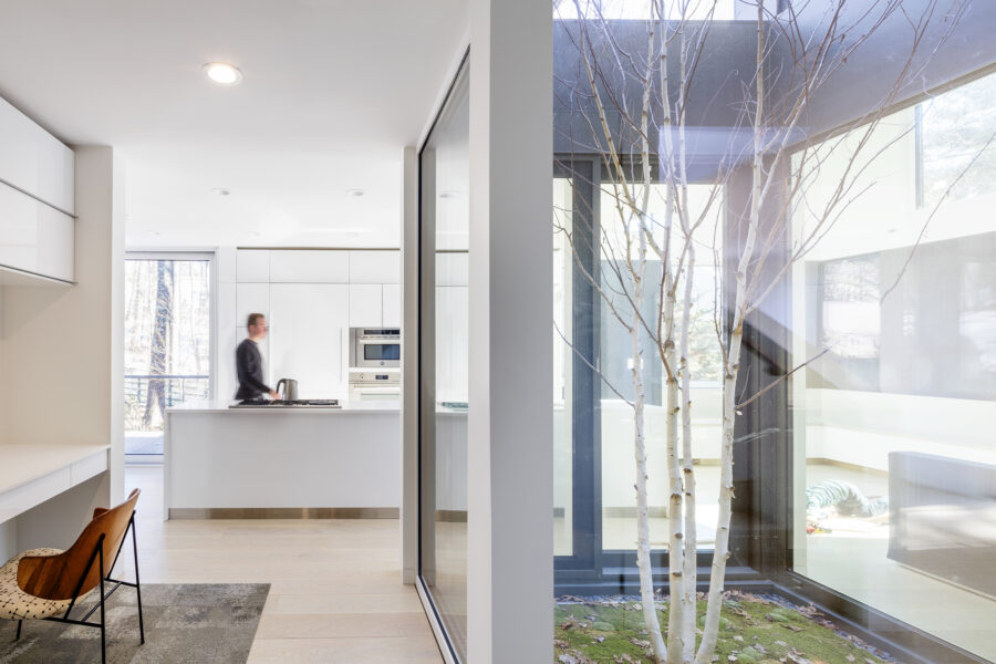 tree courtyard kitchen office nook