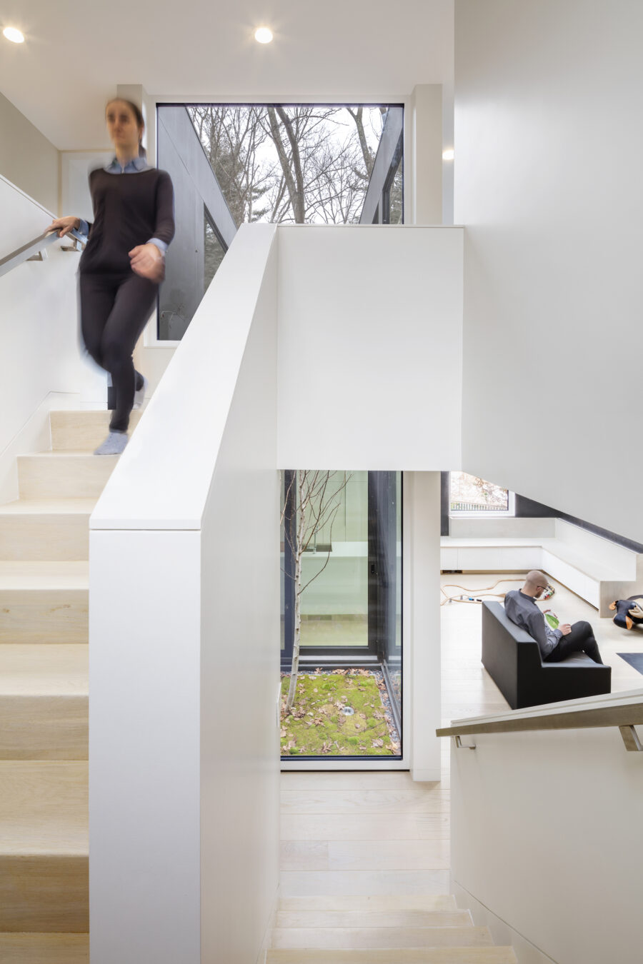 stair tree courtyard
