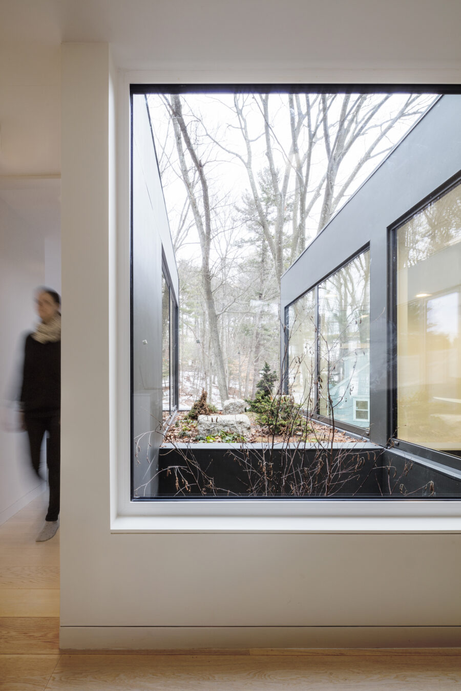 recessed garden from hallway