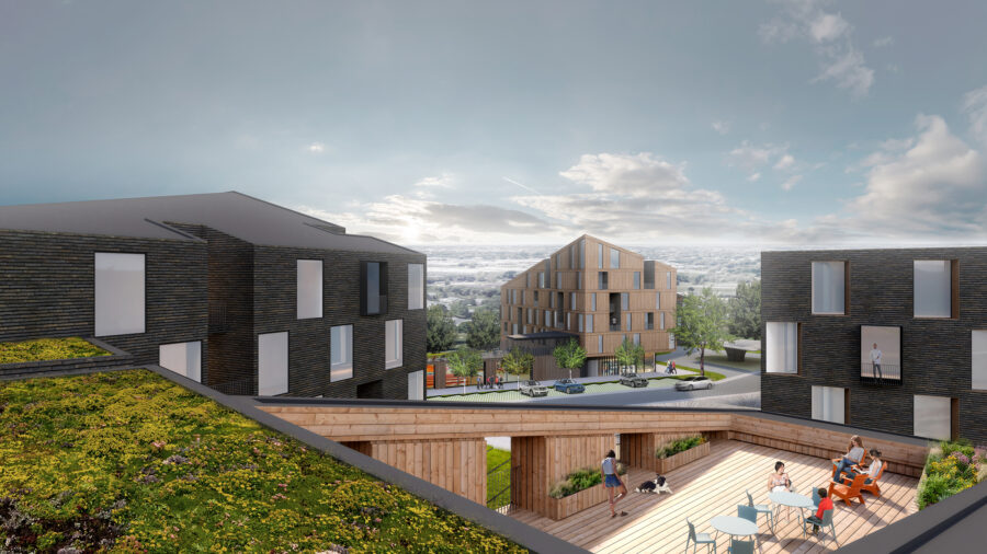 CLT brick and cedar site roof deck