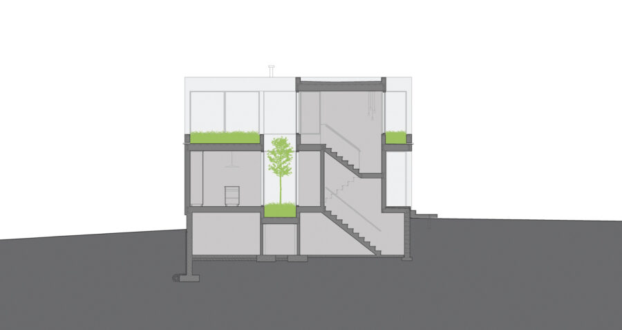 building section tree courtyard