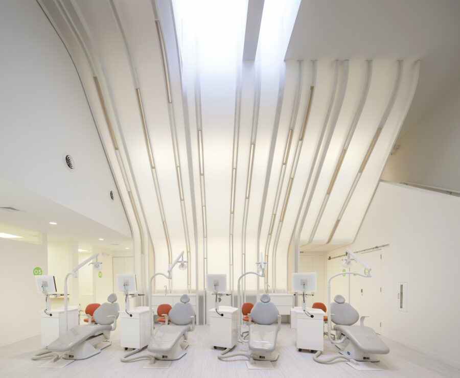 orthodontic bay polycarbonate plywood backlit wall