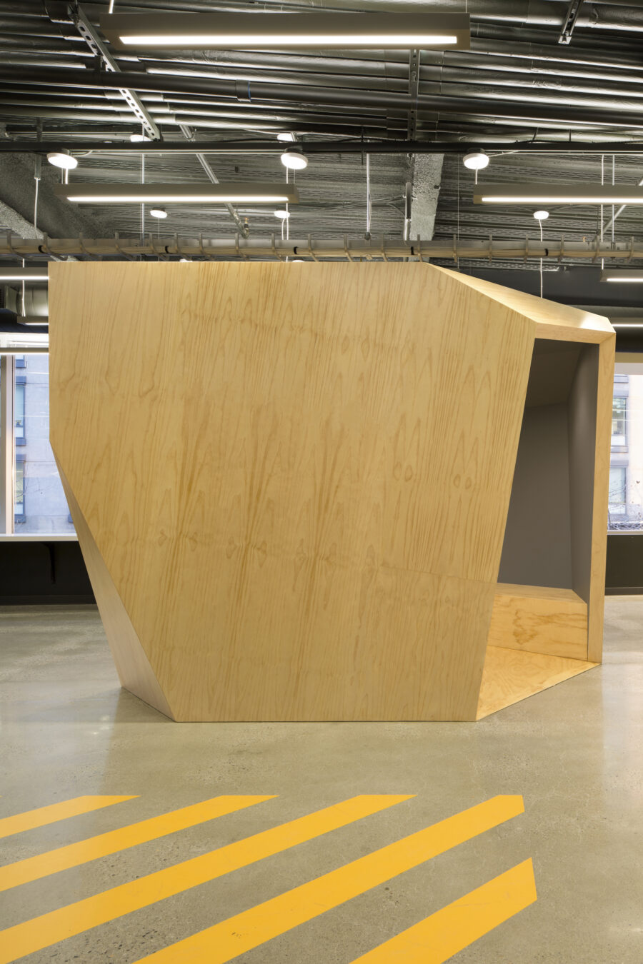radiata pine meeting pod floor graphic