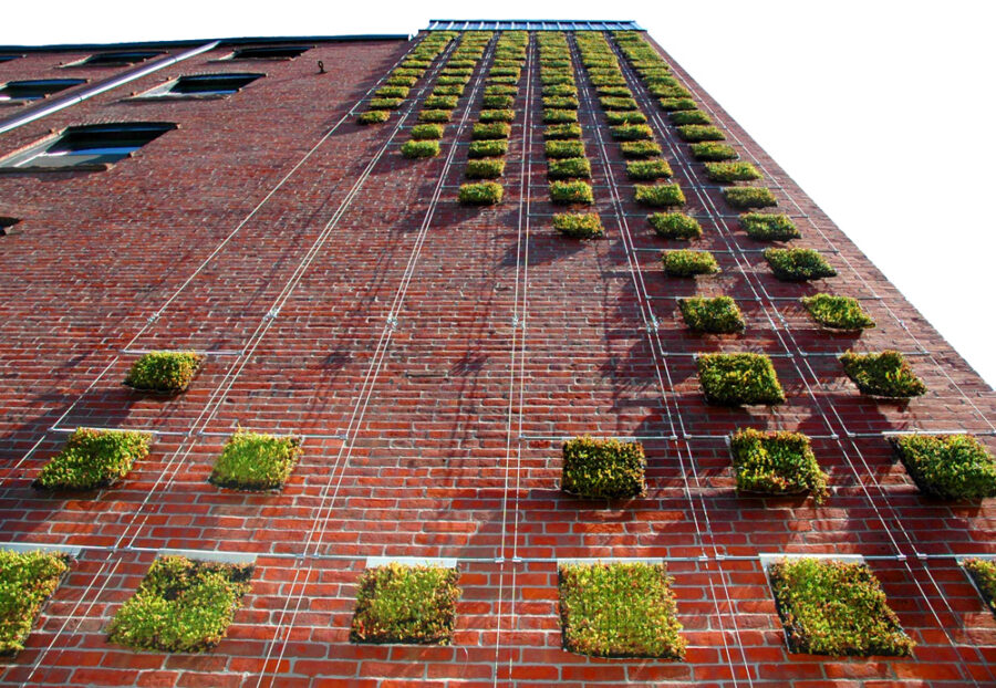 pixel grow wall on brick