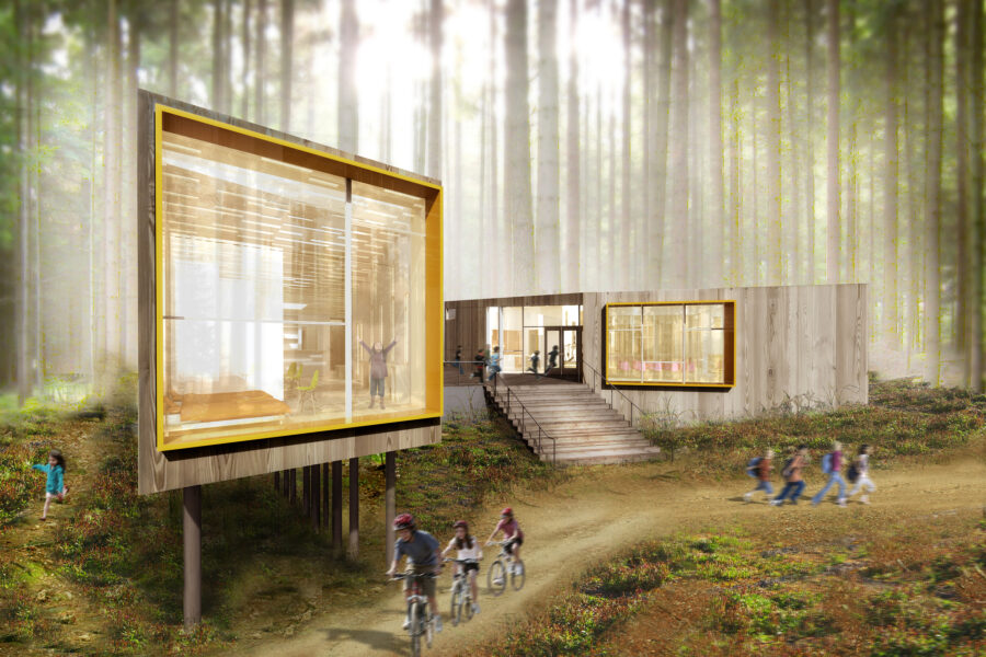 cedar cladding in the woods on stilts