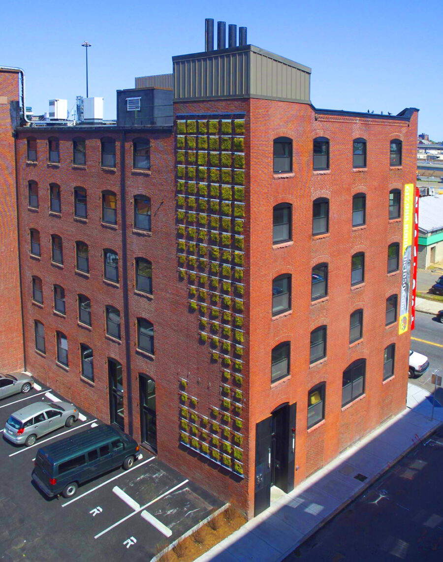 pixel grow wall on brick