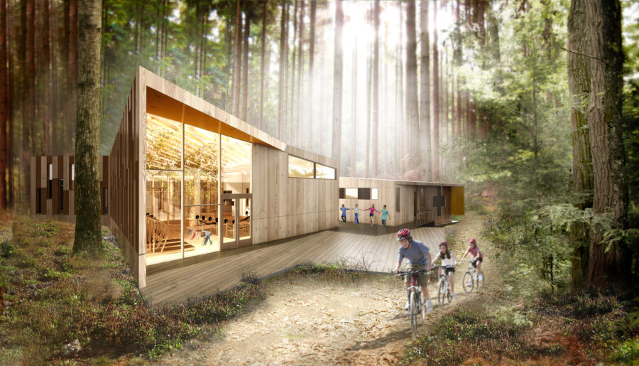 cedar cladding in the woods